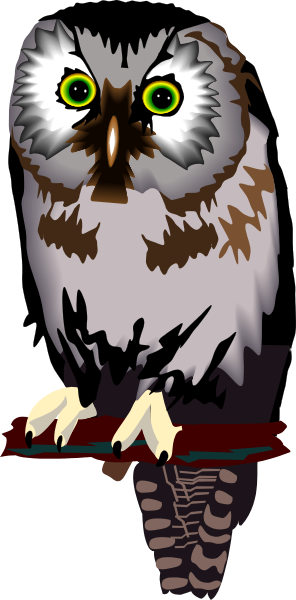 The image shows a cartoon owl standing on its perch with an open beak against a dark background.