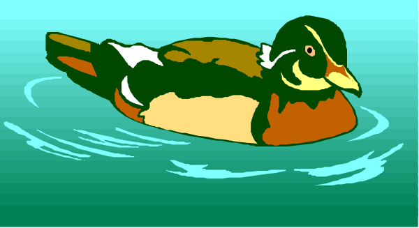 The image shows a duck floating on water with ripples around it.