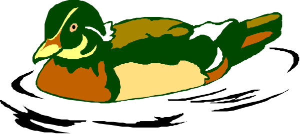 The image shows a duck with an orange head sitting on top of water.