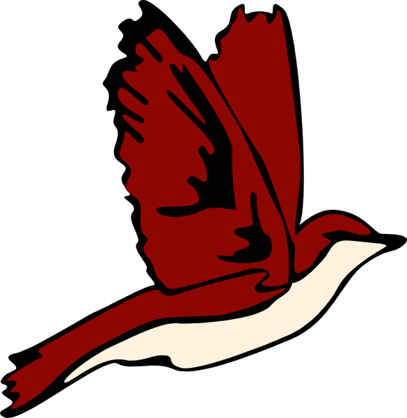 The images show a red bird with white wings flying against two different backgrounds: black on top left and dark blue on bottom right.