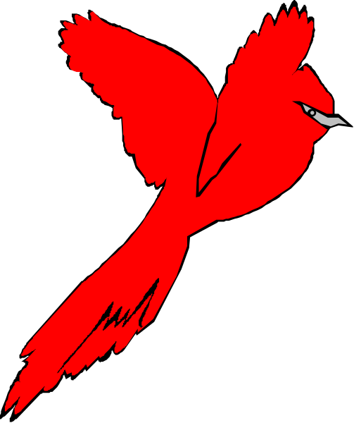 The image shows a red bird with outstretched wings against a black background.