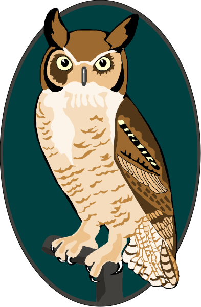 The image shows a graphic of an owl with its wings spread out on what appears to be a perch against a dark background.