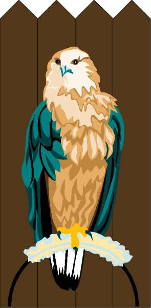 The image shows a stylized illustration of an eagle with outstretched wings perching on top of what appears to be a shield-like emblem featuring two crossed swords.