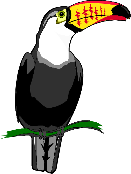 The image shows a cartoon of an owl with large eyes perched on what appears to be a branch against a dark background.
