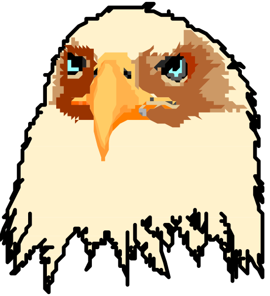 The image shows a stylized graphic of an eagle's head with its wings spread out behind it against a black background.