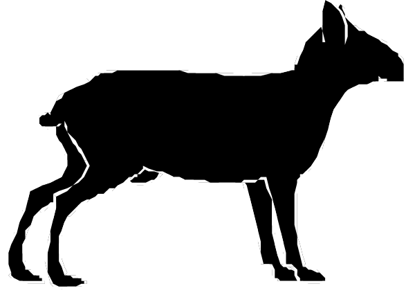 The black and white silhouette of a dog walking on all fours with its head turned to look back over its shoulder.