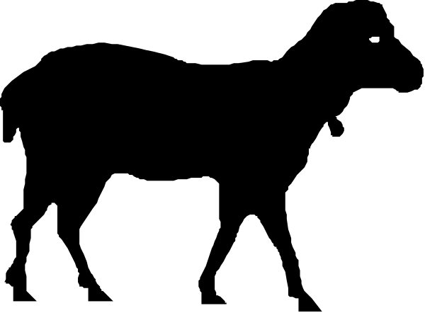 The image shows a black screen with white text that reads "1984" at both ends of what appears to be an elongated rectangle in the center.