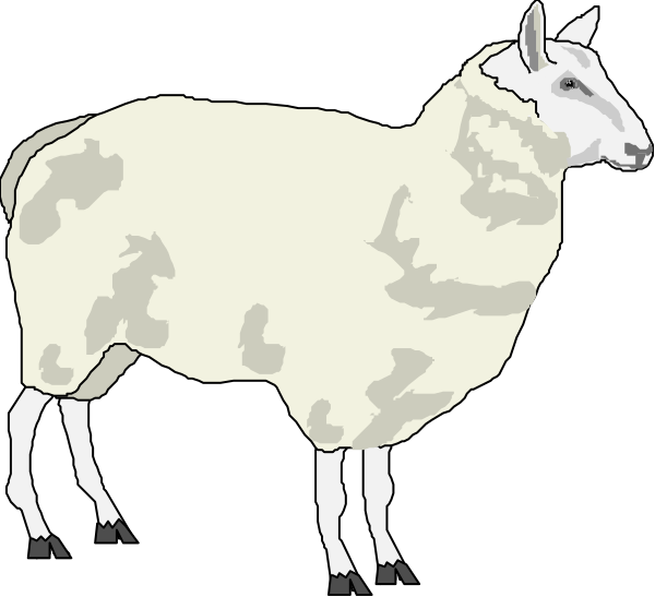 The black and white illustration shows two sheep standing side by side against a dark background with no additional details provided about their surroundings or any other elements present in this image.