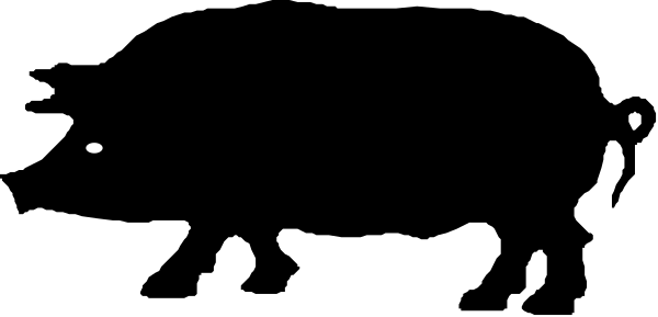 The image shows a black rectangle with two white dots on it against a gray background.