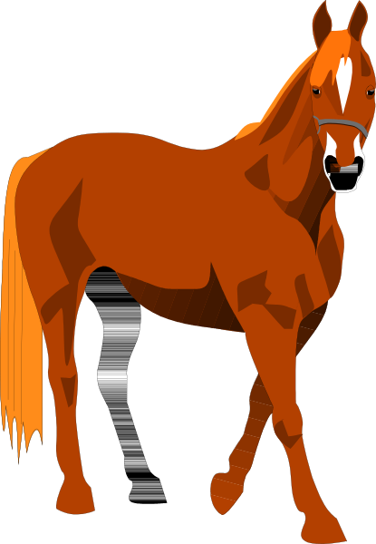 The image shows a brown horse standing against an orange background with its head turned to look at something off camera.