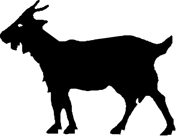 The image shows a black strip with white text on it that reads "YOUR TEXT HERE."