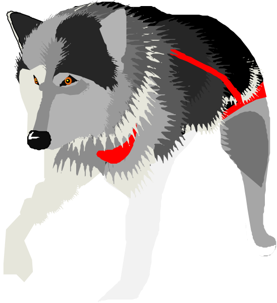 The image shows a gray wolf with red eyes running on all fours against a black background.