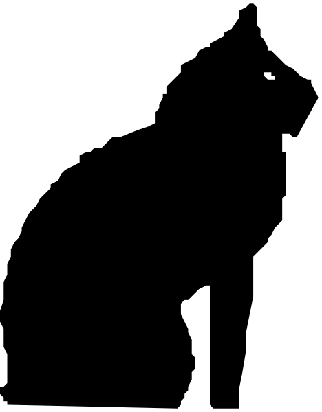 The image shows a black screen with two vertical lines on either side of what appears to be an object that is too small for me to identify in detail.