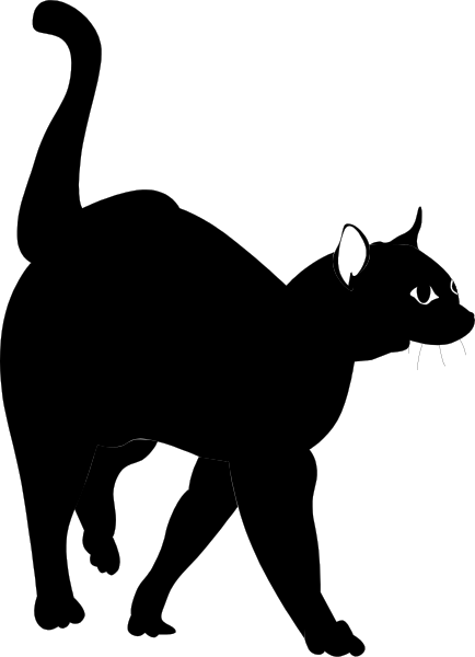 The image shows a black cat with white eyes peeking out from behind what appears to be an open door of a house at nighttime.