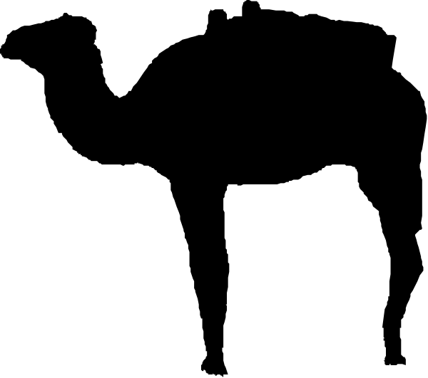 The image shows a black screen with white text that reads "Welcome to my website."