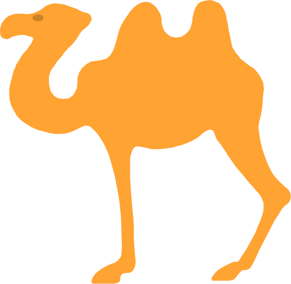 The image shows a cartoon camel standing next to an orange ostrich on what appears to be desert sand with cacti in the background under clear skies.