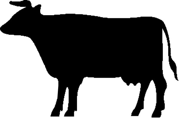 The image shows a black rectangle with white text inside it that reads "Welcome to my website."