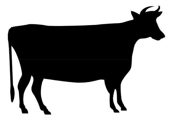 The image shows a gray bar with two black lines on either side of it against a white background.