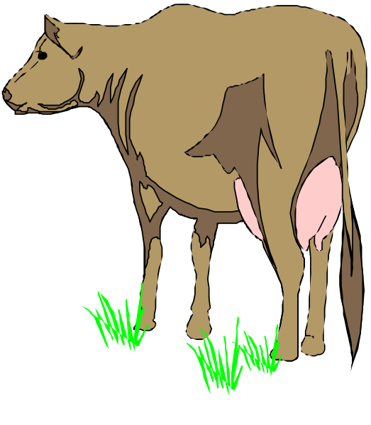 The image shows a brown cow standing on grass with its head turned to look at something off camera.