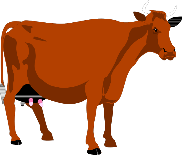 The image shows a red cow standing next to another brown cow with horns on its head against an orange background; there is no text present in this clip-art illustration.