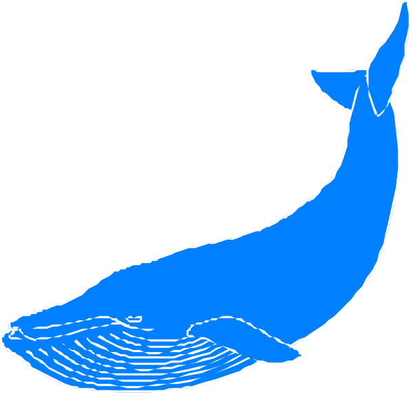 The black and white illustration shows a blue whale with its tail fin visible above water level on what appears to be an ocean surface background.