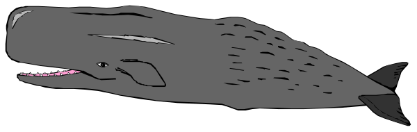 The image shows a cartoon of an animated whale swimming underwater with its mouth open as if it's smiling at something in front of it.
