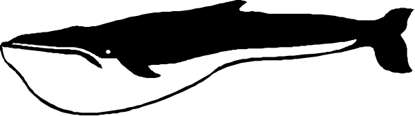 The image shows a black and white photo of an airplane flying through clouds with its landing gear down.