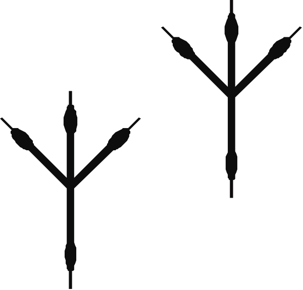 The image shows a black silhouette of four trees with branches extending outward from their trunks against an untextured background.