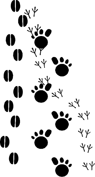 The image shows a black and white striped pattern with no distinguishable content within it.