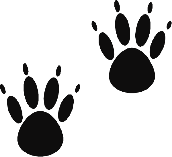 The image shows two paw prints on a black background with no additional context provided about any other elements present within it.