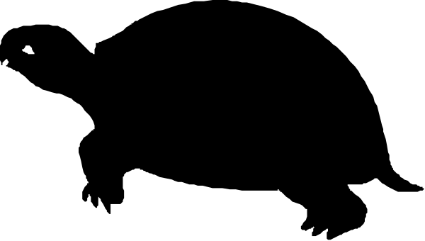 The image shows a black banner with white text that reads "Welcome to our new website."