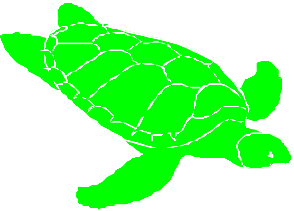 The image shows a green turtle with white spots on its shell against an unidentified background.
