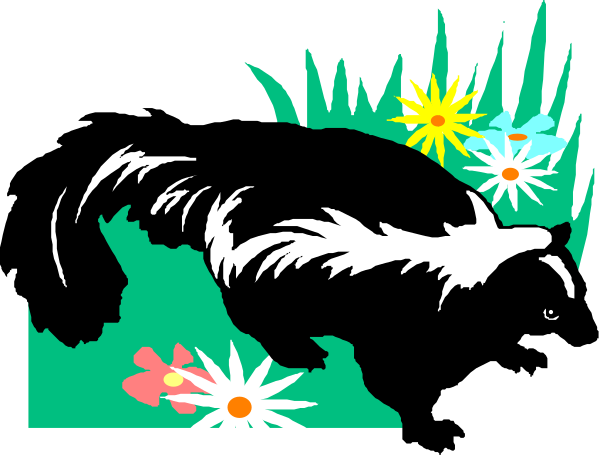 The image shows a cartoon raccoon swimming with flowers around it against an underwater background of blue water dotted by white bubbles.