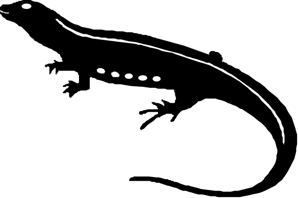 The black silhouette of a car with headlights on driving at night against a dark background.