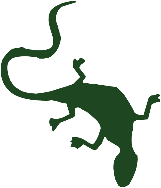 The image shows a green lizard with its tongue out against a black background.
