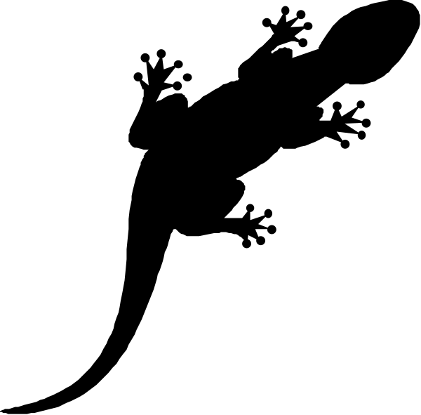The black background of a computer screen with no content displayed on it.
