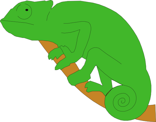 The image shows a green lizard with orange feet perched on top of what appears to be an open book lying flat in front of it.