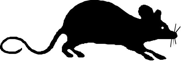 The image shows a black rectangle with white text inside it on an otherwise gray background.