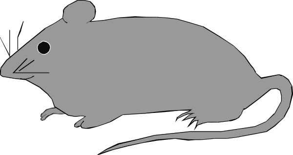 The black and white silhouette of a mouse with its tail curled around it on what appears to be an abstract background.