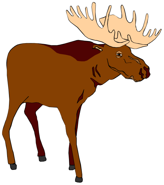The image shows a cartoon of an adult male moose standing on two legs with antlers prominently displayed against a black background.