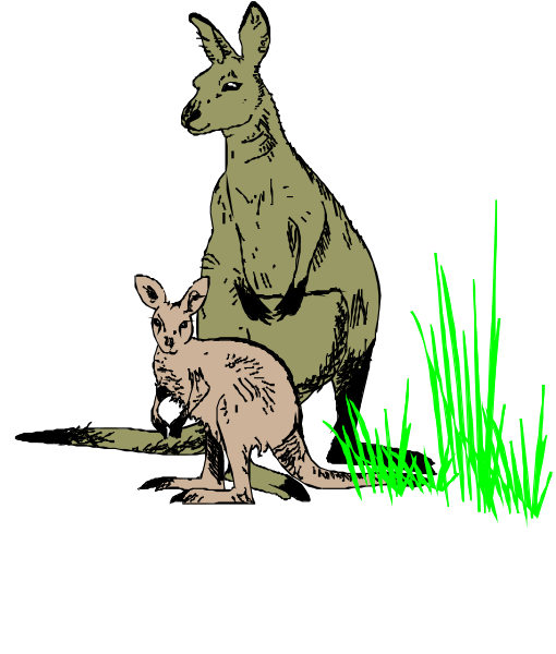 The black and white illustration features a kangaroo standing next to its baby on grass with reeds around them in an outdoor environment.