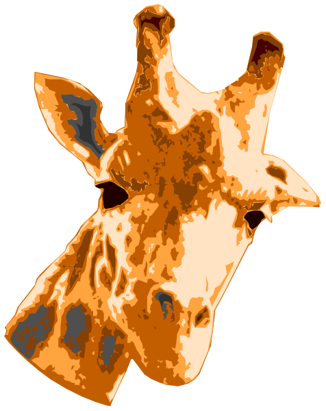 The image shows a giraffe's head with its ears spread out against an orange background.