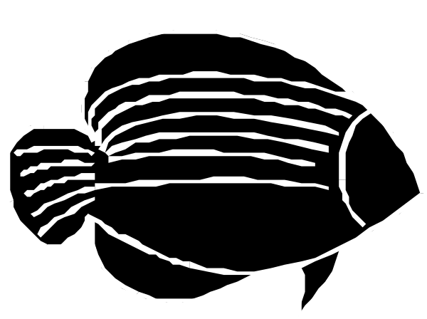 The black and white line drawing shows a fish with two fins on its back swimming upwards towards an unseen surface.