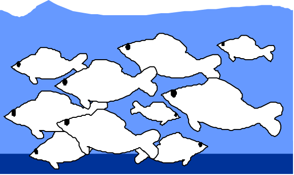 The image shows a group of fish swimming underwater near each other with blue water above them.