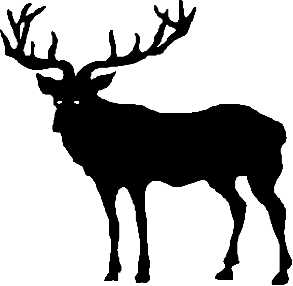 The black background of a computer screen with white text that reads "Hello World!"