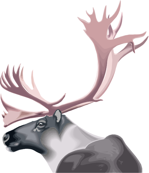 The image shows a cartoon depiction of an animal with large antlers that resembles a moose standing against a black background.