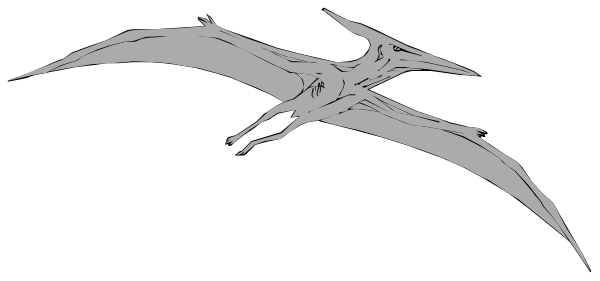 The image shows a black silhouette of an animal with large wings against a white background on top right corner.