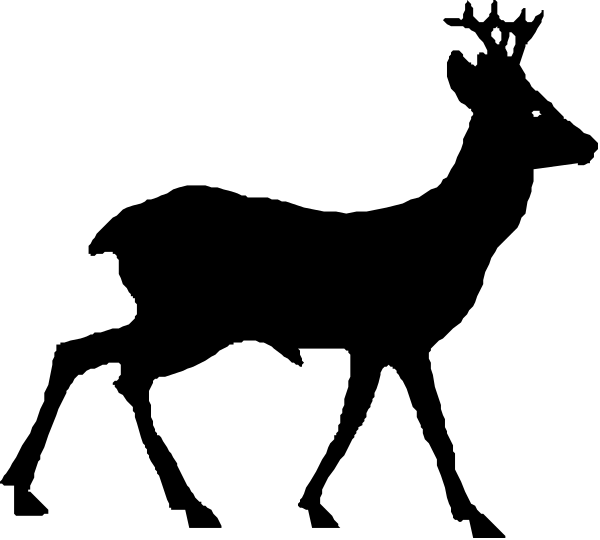 The image shows a black screen with two white dots on it.