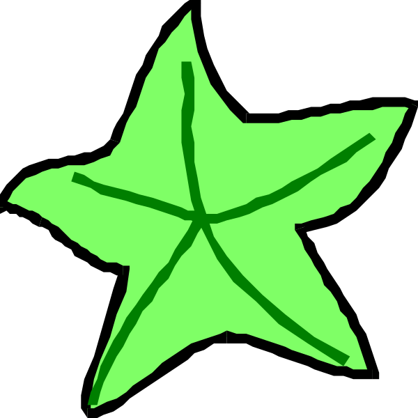 The image shows a green star with five points against a black background.