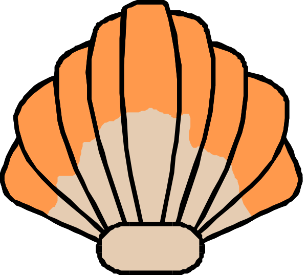 The image shows two shells with a black background; on top of each other is an orange scalloped edge resembling a seashell's interior pattern.